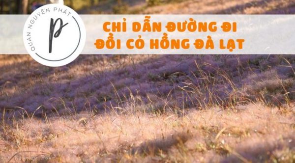 Hướng dẫn đường đi Đồi Cỏ Hồng đẹp nhất Đà Lạt 2018