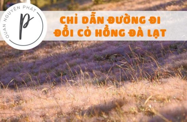 Hướng dẫn đường đi Đồi Cỏ Hồng đẹp nhất Đà Lạt 2018