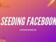 Đừng quên Seeding khi chạy quảng cáo Facbook Ads