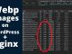 Hướng dẫn kích hoạt WebP cho Wordpress trên Nginx (HocVPS, VPSSIM...)