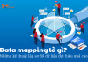 data-mapping-la-gi